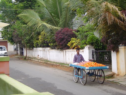 Vegetable Purchase